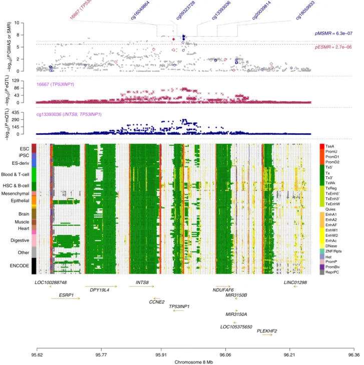 Fig. 4 Prioritizing genes and regulatory elements at TP53INP1 locus for T2D. Shown are the results from the SMR analysis that integrates data from GWAS, eQTL, and mQTL studies