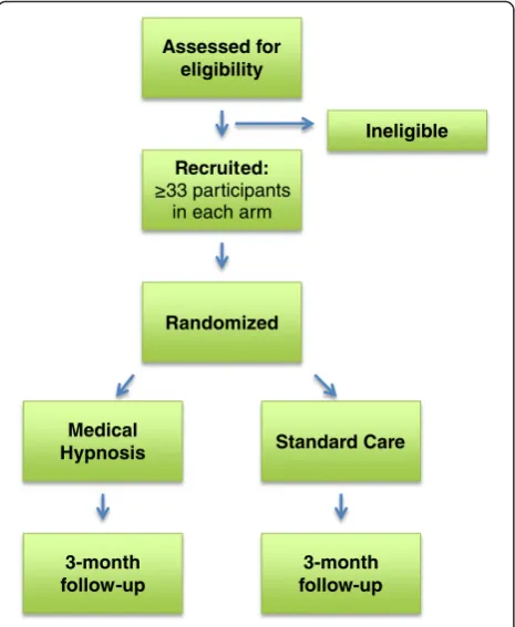 Fig. 1 Flow diagram of the trial