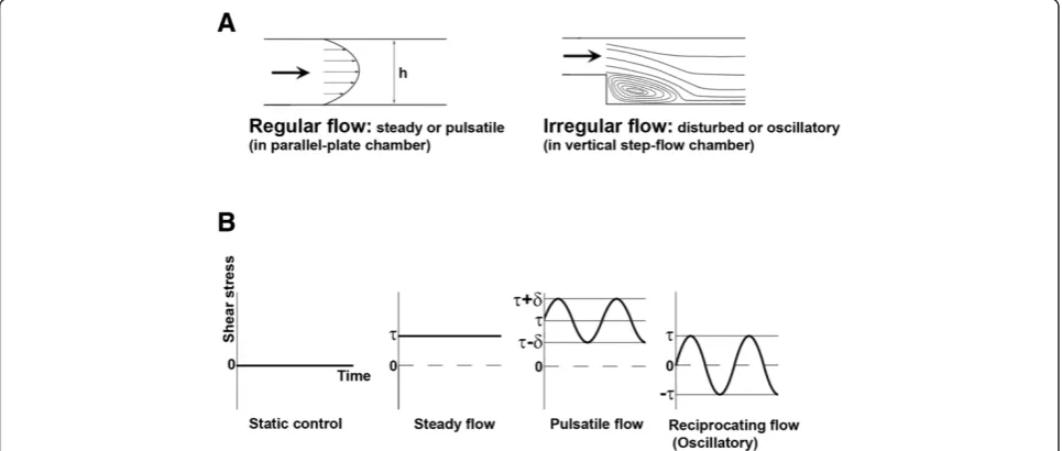 Figure 3 Devices used to carry out in vitro studies to examine the influence of flow (shear stress) on ECs