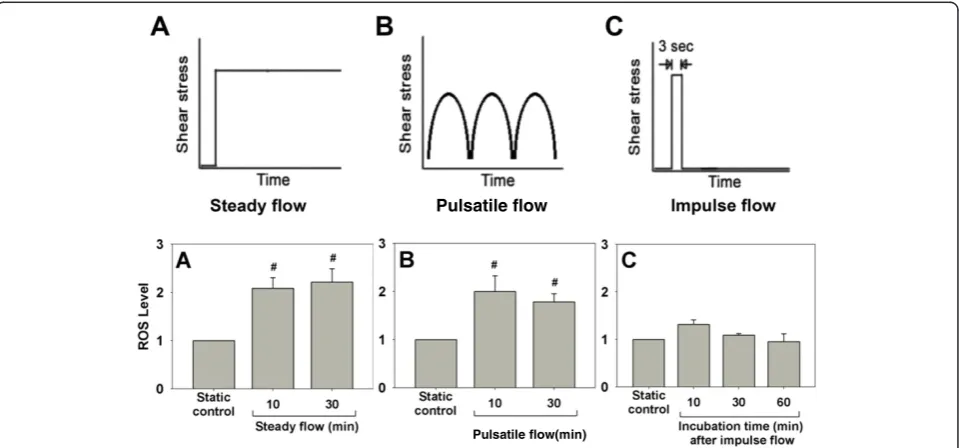 Figure 5 Relative levels of ROS in ECs exposed to various flow patterns. (A) Steady flow (step shear stress increase from 0 to 13.5 dyn/cm2and then maintained for 10 or 30 min), (B) Pulsatile flow (periodic variation in shear stress from 3 to 25 dyn/cm2, 1