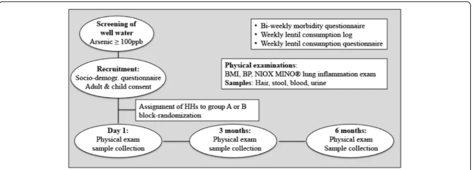 Fig. 1 Flow chart of the dietary intervention trial; BMI, body mass index; BP, blood pressure; HHs, households