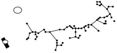 Fig. 3. Graphic Representation of All Possible Links 
