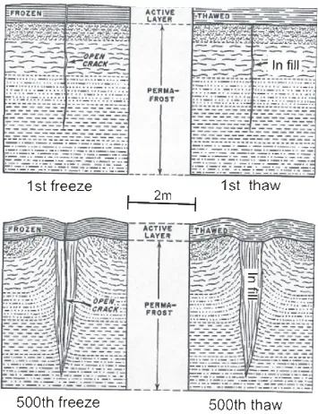 Figure 2: Simplistic diagrams showing the cross-sectional development of PPG over successive seasons