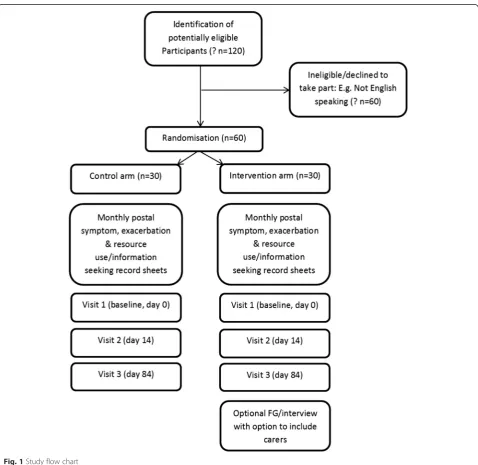 Fig. 1 Study flow chart