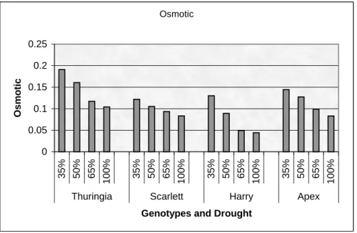 Figure 2: Osmotic adjustment of Thuringia, Scarlett, Harry, and Apex genotypes for drought  experiment
