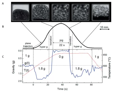 Fig. 1Foaming process of a thixocast AlSi6Cu4 precursor material. (A) Radioscopic images are shown for diﬀerent experimental stages