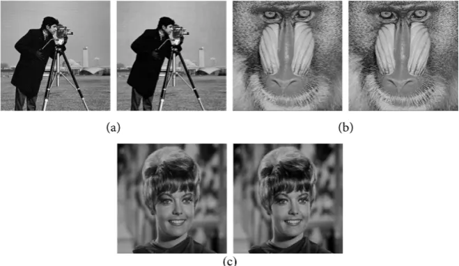 Figure 4. (a) Lenna cover image; (b) Lenna stego-image; (c) Difference image. 