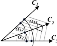 Figure 7. Vector description of self-speed of light vectors of three bodies. 