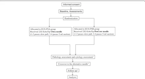 Fig. 1 CONSORT flowchart illustrating the randomization and recruitment process in the study