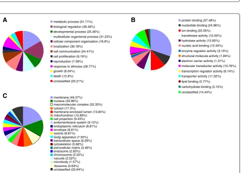 Figure 3 Comparison of miRNA expression in hippocampus between CCA and CCE rats. (A) Hierarchial-clustering map