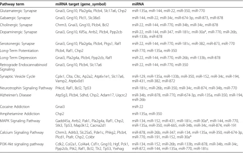Table 3 KEGG analysis of predicted target genes of miRNAs in rat hippocampus