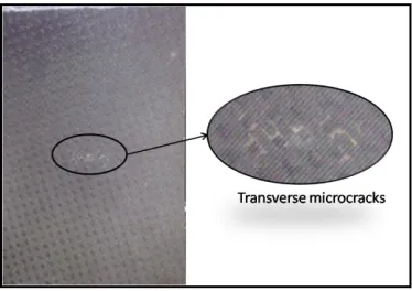 Fig. 5. Transverse microcracks on the front face 
