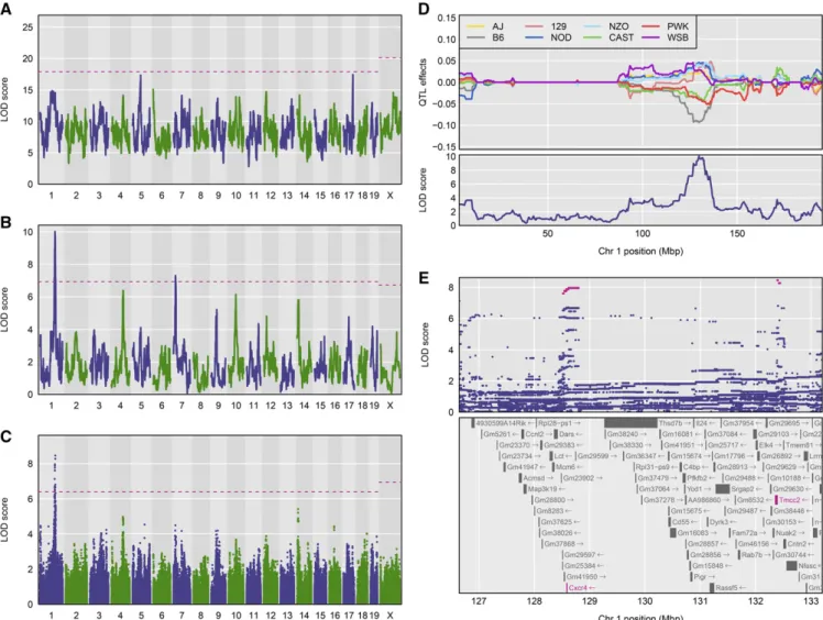 Figure 1 Reconstruction of Figure 5 from Gatti et al. (2014), on the mapping of constitutive neutrophil counts in 742 DO mice