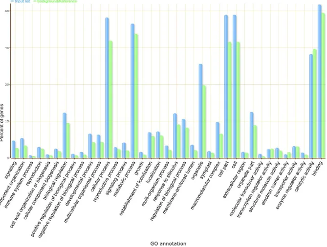 Figure 1 - Summary of the functional analysis of GO terms.