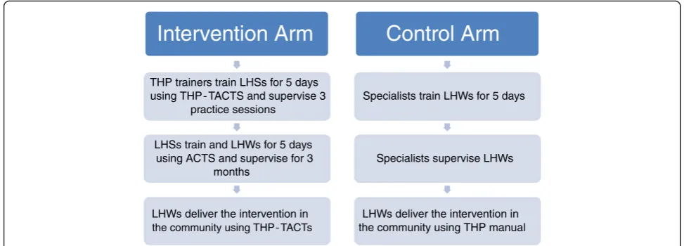 Fig. 2 Training for the Think Healthy Program (THP): intervention versus control arm