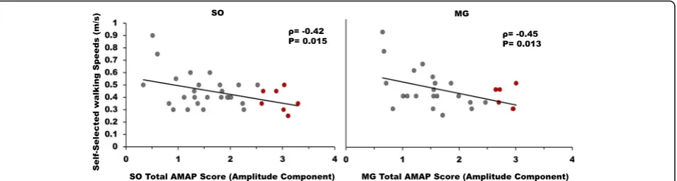 Fig. 6 Correlations between self-selected walking speeds and total AMAP scores for the amplitude components (scores averaged across allregions of the amplitude component) of SO (left panel) and MG (right panel)