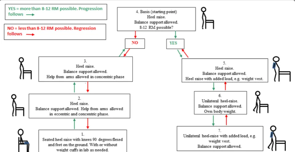 Fig. 3 Progression model for loaded heel raise. 8–12 RM 8–12 repetitions maximum (a zone in which muscular fatigue should be reached)