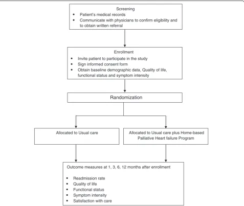 Fig. 1 Flowchart for transition palliative care trial