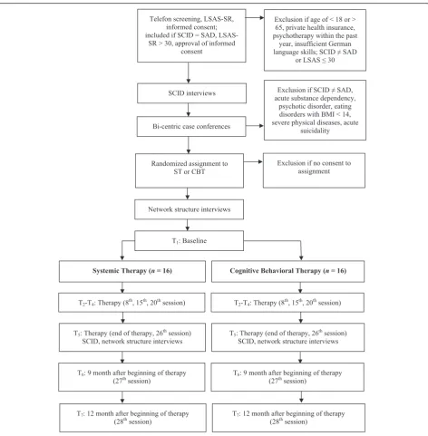 Fig. 1 Design, assessments and patient flow (CONSORT chart)