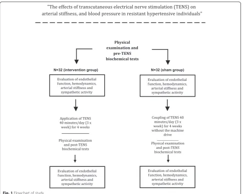 Fig. 1 Flowchart of study