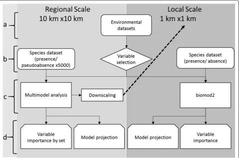 Fig. 2 Multi-scale modelling framework for the analysis of drivers and patterns ofimportance scores were obtained (exercise to establish a local-scale area (to infer the importance of each set of predictors in determining the distribution of the species, f