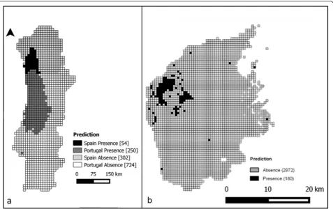 Fig. 3 Potential distribution ofthe local-scale study area, obtained as an ensemble forecast in Hakea sericea in the regional-scale study area obtained by binarization of the average model projection (a), and in biomod2 (b)