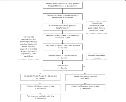 Fig. 2 Schematic diagram describing timeline for participants in the study