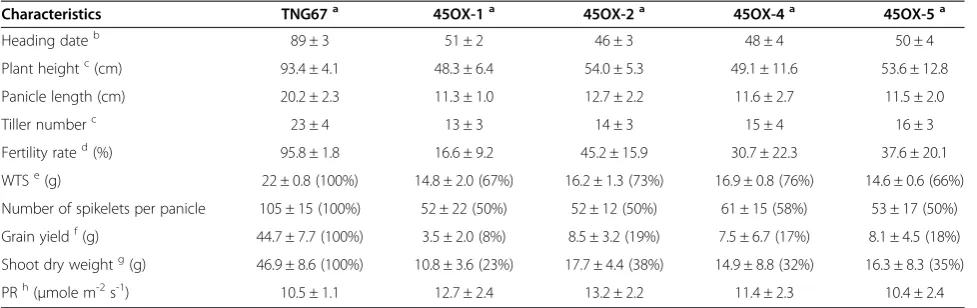 Table 1 Agronomic traits of TNG67 and Ubi:OsMADS45 transgenic rice plants