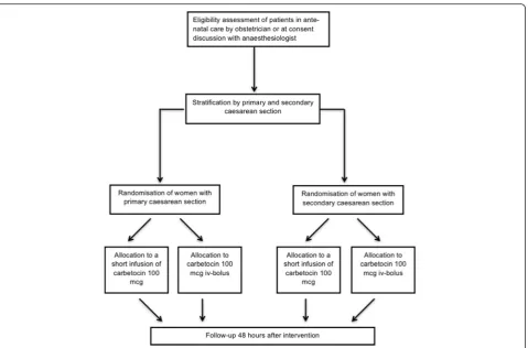 Fig. 1 Trial flow chart showing trial procedure of recruitment, stratified randomisation and follow-up visit