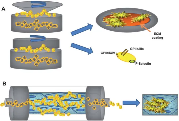 Fig. 3Platelet function testing: devices for the study of thrombus formation. A cone and plate analyzer and coaxial cylinder Couette involve a cone/cylinder that by rotating on a plate/chamber generates controlled shear stresses