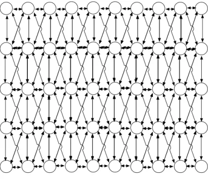 Figure 3: Densely Connected Topology