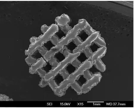 Figure 5: A porous lattice structure produced by controlling the raster spacing of an electron 