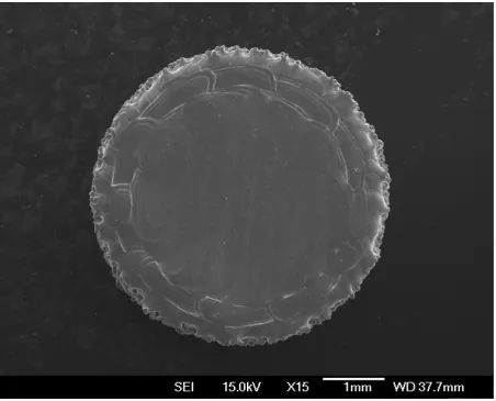 Figure 10: The top surface of parts produced by electron beam melting is smooth, because there 