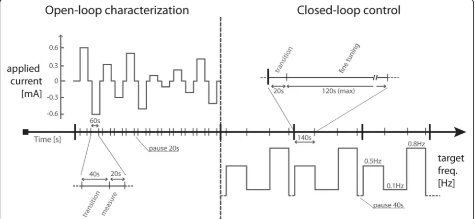 Fig. 4 Experimental protocol. Left, initial open-loop characterization part: top left, profile of the applied current