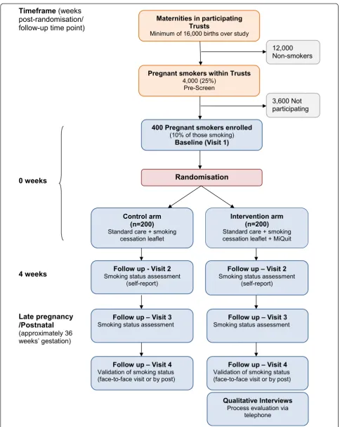 Figure 1 Participant flowchart: study design and the timeframe for follow-up assessments.