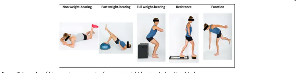 Figure 2 Examples of hip exercise progression from non-weight bearing to functional tasks.