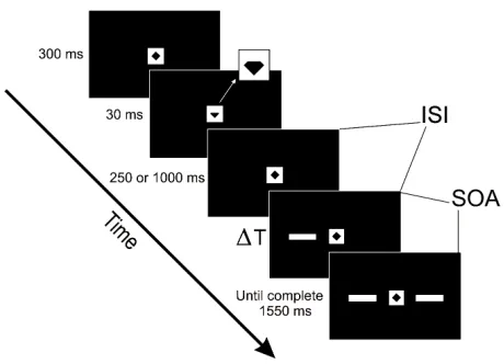 Figure 1. Experimental design. Sequence of events during each trial and time the 