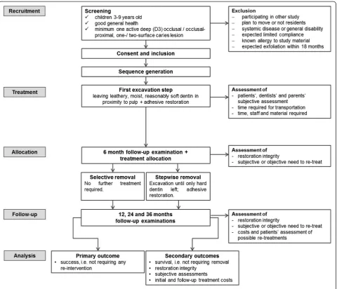 Figure 1 Flowchart of the study.