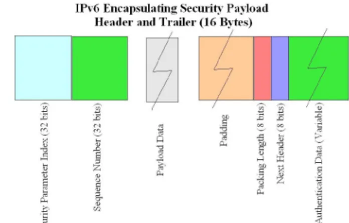 Figure 3 shows a typical AH header.