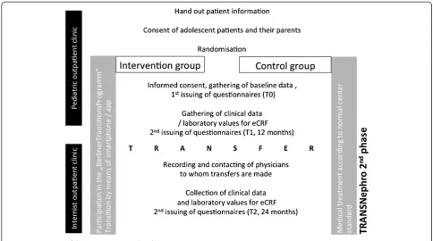 Figure 3 Structure of the intervention study (Phase II).