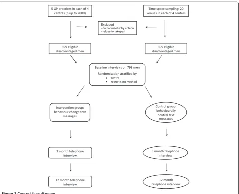 Figure 1 Consort flow diagram.