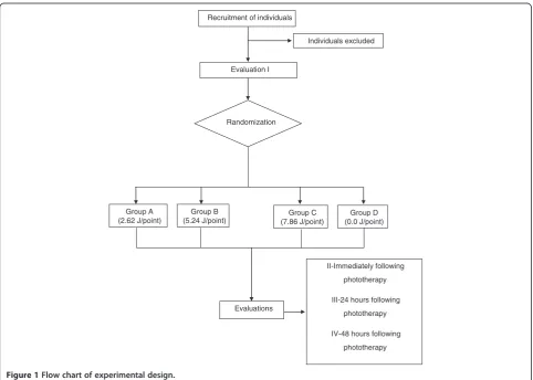 Figure 1 Flow chart of experimental design.