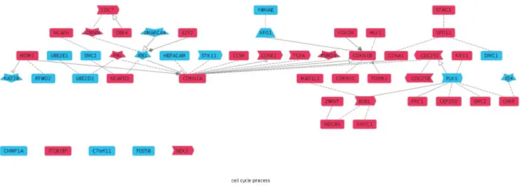 Figure 4. Overview genes involved in ‘‘Cell cycle process’’, Ranked vs Nermal. Analysis of the overlap between our combined approach and Nermal for the GO biological process term ‘‘Cell cycle process’’ (GO:0022402)