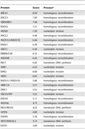 Table 7. Overview proteins involved in processes coordinated by the FA/BRCA pathway.