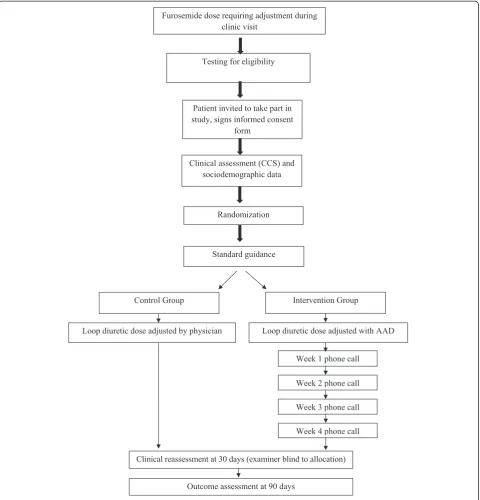Figure 1 Flowchart of study participation and interventions.