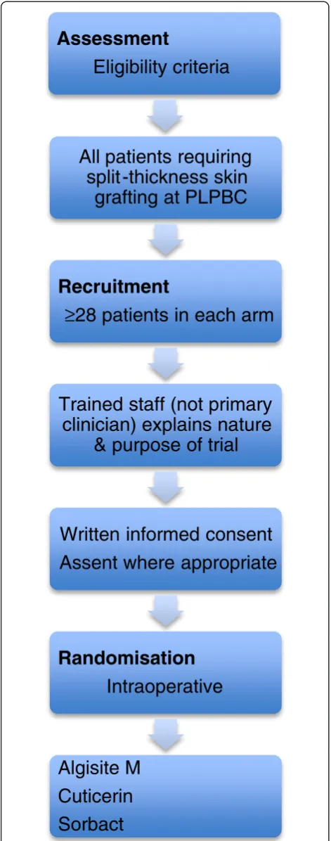 Figure 1 Flow diagram of the trial. DSW, donor site wound;PLPBC, Pegg Leditschke Paediatric Burns Centre.