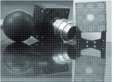 Fig. 11. (a) intensity and (b) DOLP image of a car in a structured background.   
