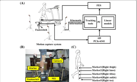 Fig. 1 a The experiment setup of SAS condition; b one healthy subject on the treadmill for system evaluation; c the position of five markers onthe right leg