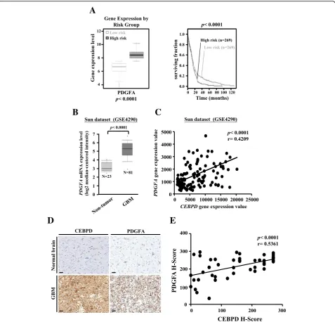 Fig. 6 PDGFA expression is clinically relevant in glioma patients. a High-risk glioma correlated with the increased PDGFA expression, and theKaplan-Meier survival curves of TCGA GBM patients indicated the correlation between low expressions of PDGFA in pat