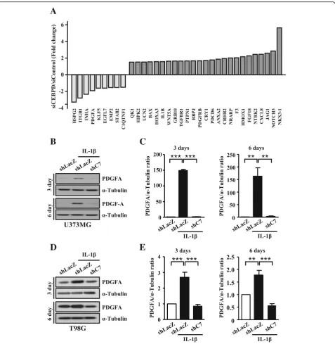 Fig. 3 CEBPD correlates to PDGFA expression in U373MG and T98G spheroid cells.test. **sham control